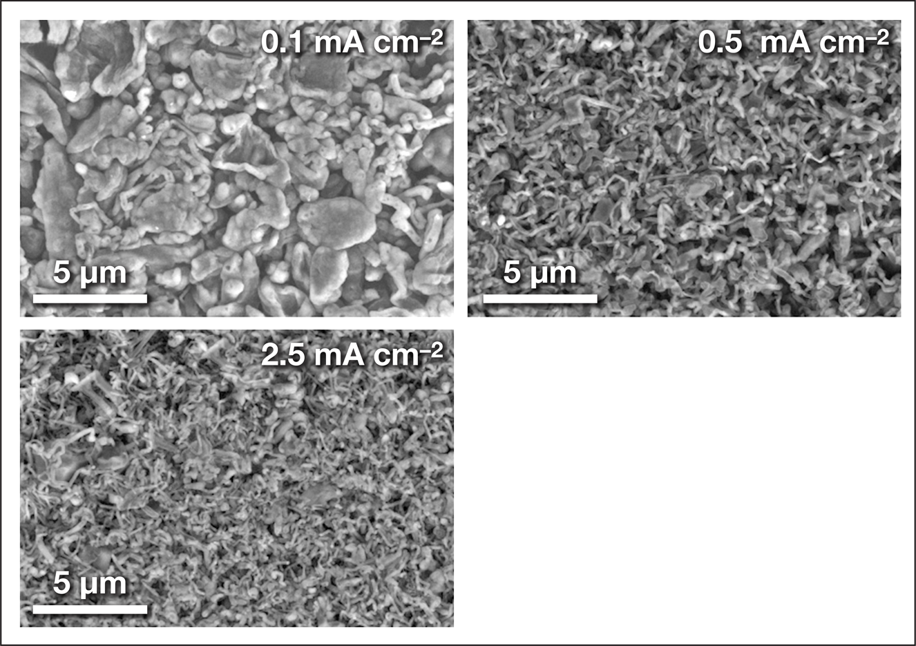 glassy lithium forms-2