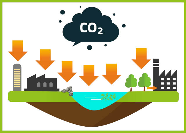 The politics and governance of Negative Emissions Technologies