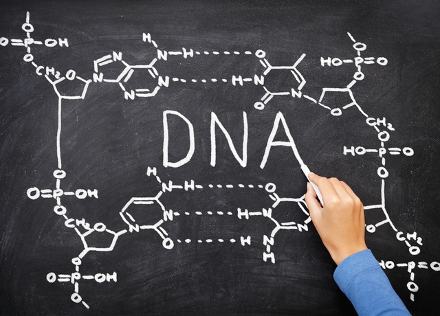 Genetics of Educational Outcomes